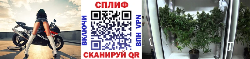 Купить наркоту Вилюйск ГАШИШ  Псилоцибиновые грибы  Мефедрон 
