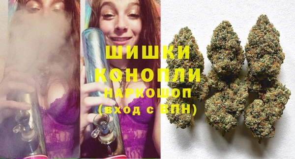 прущие грибы Балабаново