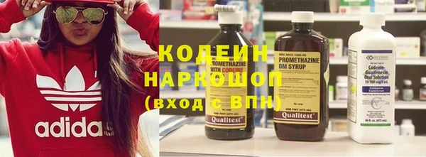 прущие грибы Балабаново