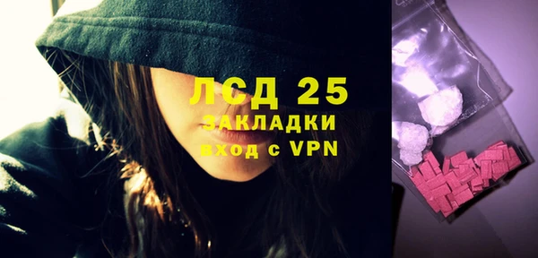 прущие грибы Балабаново