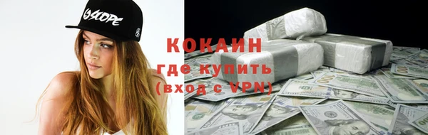 прущие грибы Балабаново
