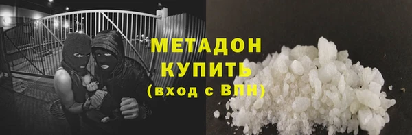 прущие грибы Балабаново