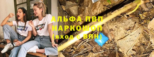 прущие грибы Балабаново