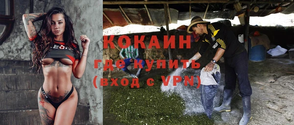 прущие грибы Балабаново