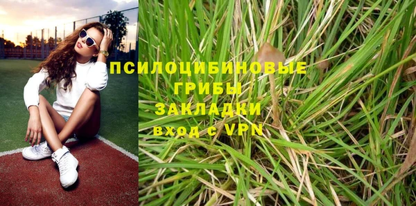 прущие грибы Балабаново