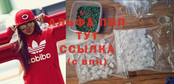 прущие грибы Балабаново