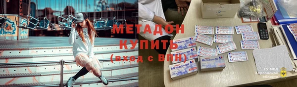 прущие грибы Балабаново