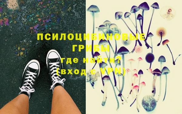 прущие грибы Балабаново