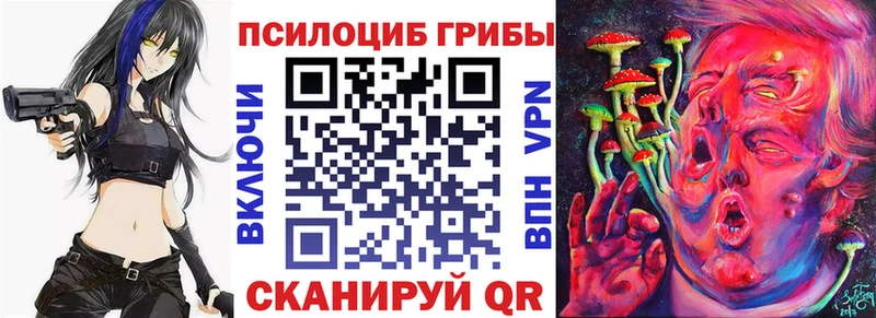 Псилоцибиновые грибы мицелий  купить закладку  Вилюйск 